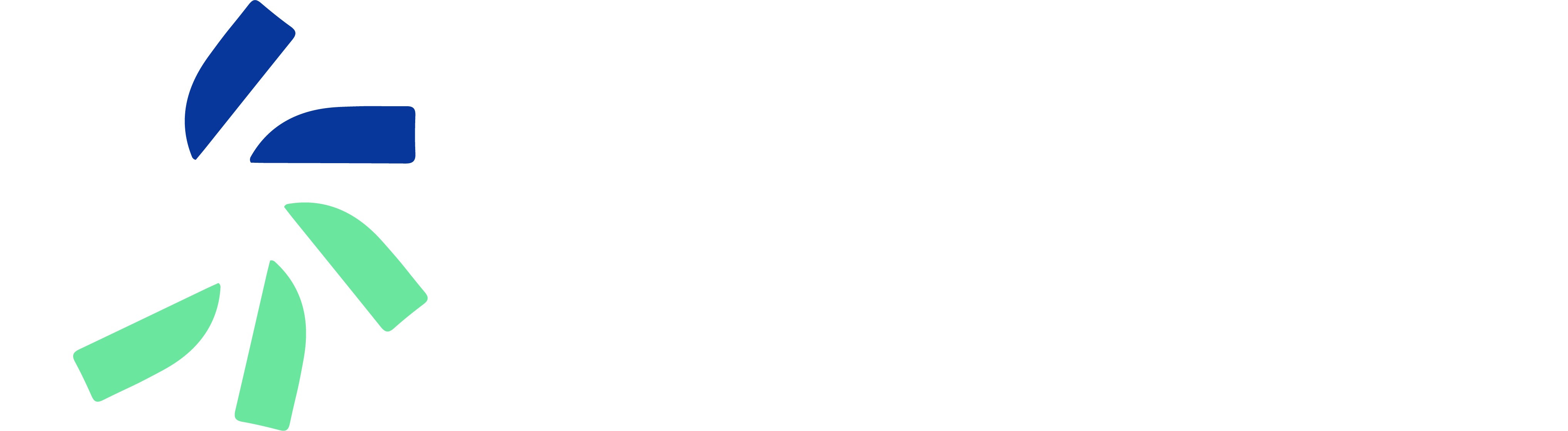 Revvo